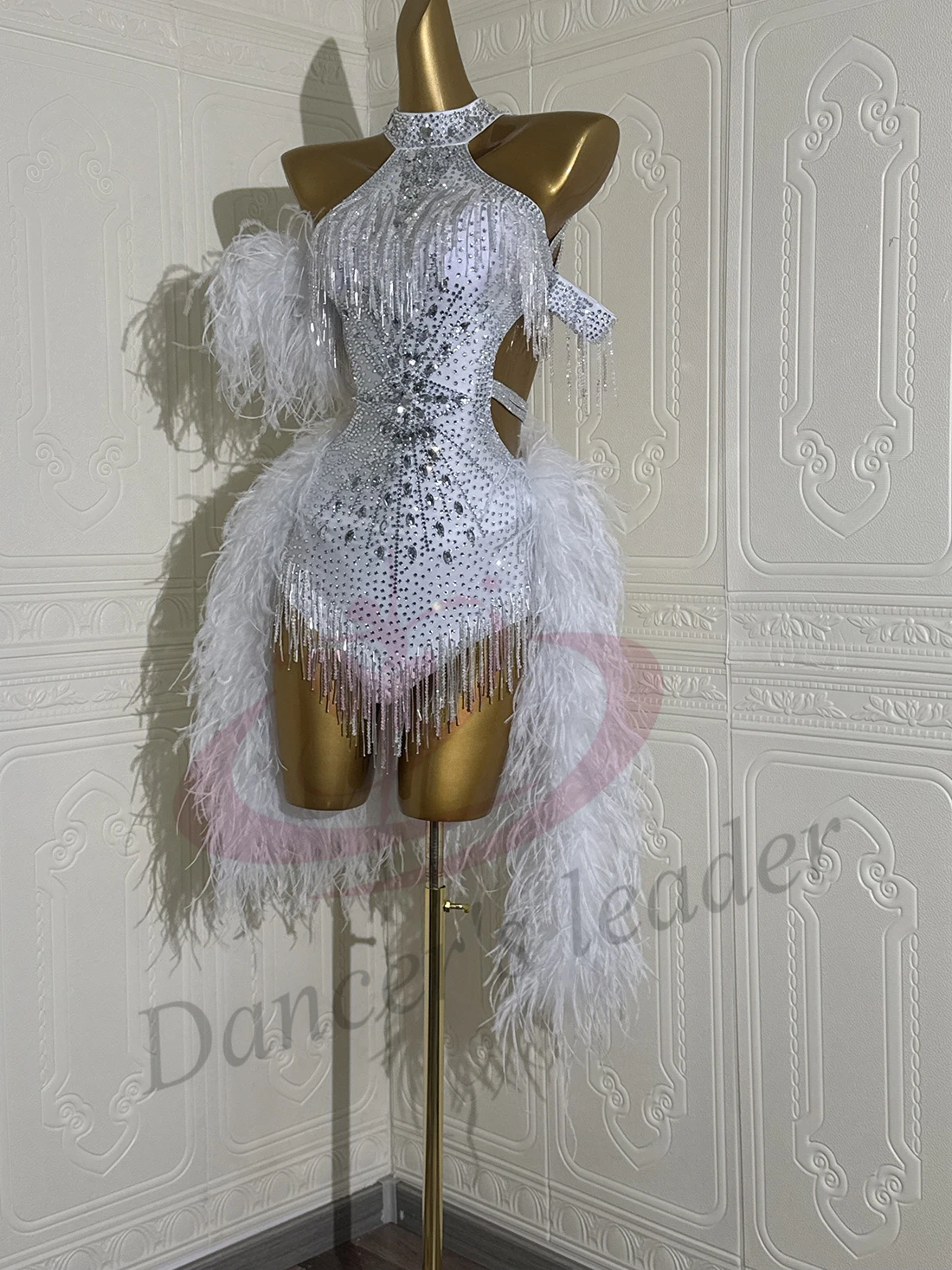 Latin Dance Adult Children's Dress AB Diamond High-End Custom Silver White Dress With Plush Decoration Tango Women's Clothing
Latin Dance Adult Children's Dress AB Diamond High-End Custom Silver White Dress With Plush Decoration Tango Women's Clothing