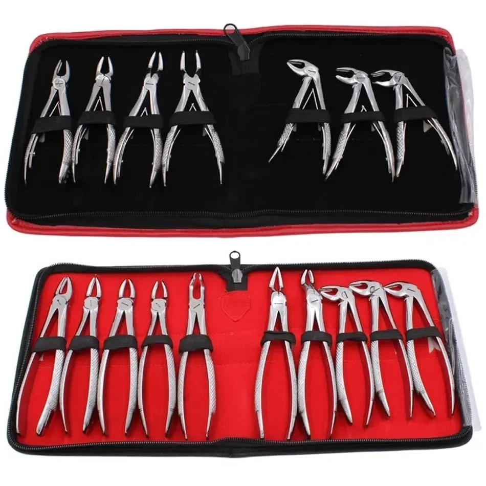 Tooth Extraction Pliers Set for Adults/children Tool Kit for Adults Dental Clinic Dental Surgery Tooth Extraction Instruments
Tooth Extraction Pliers Set for Adults/children Tool Kit for Adults Dental Clinic Dental Surgery Tooth Extraction Instruments
