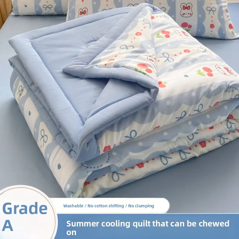 Cool Sensation Summer Quilt Student Dormitory Light Weight Air Conditioner Washable Fiber Filled Quilt Korean Haena Brand
Cool Sensation Summer Quilt Student Dormitory Light Weight Air Conditioner Washable Fiber Filled Quilt Korean Haena Brand
