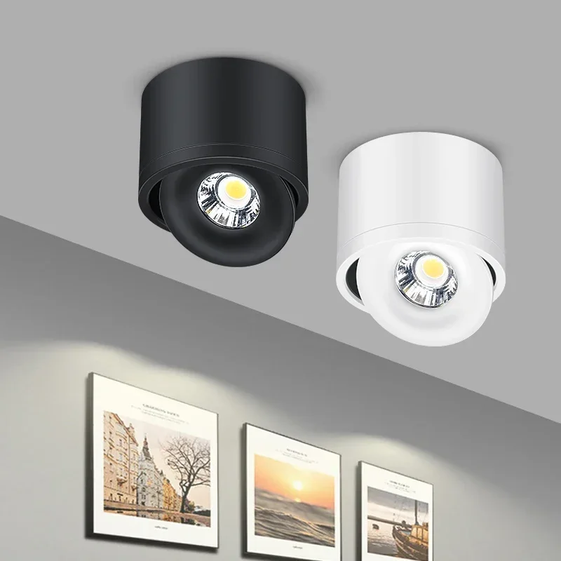 Surface Mounted Led Ceiling Light Dimmable LED Downlight Modern Spot lights 9W 7W 5W For Living Room Ceiling Lighting Decoration
Surface Mounted Led Ceiling Light Dimmable LED Downlight Modern Spot lights 9W 7W 5W For Living Room Ceiling Lighting Decoration