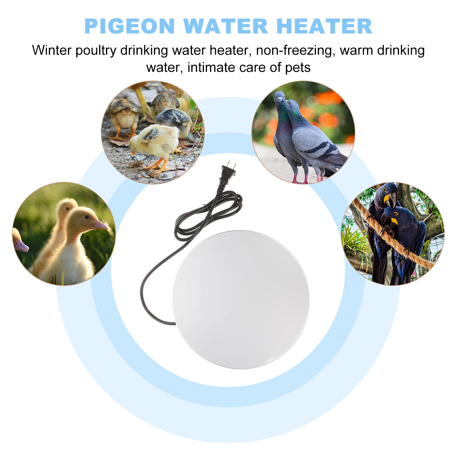 Pigeon Water Heater Plug-In Heating Base Winter Poultry Hot Water Tool Constant Temperature Electronic Heater For Chicken Duck
Pigeon Water Heater Plug-In Heating Base Winter Poultry Hot Water Tool Constant Temperature Electronic Heater For Chicken Duck