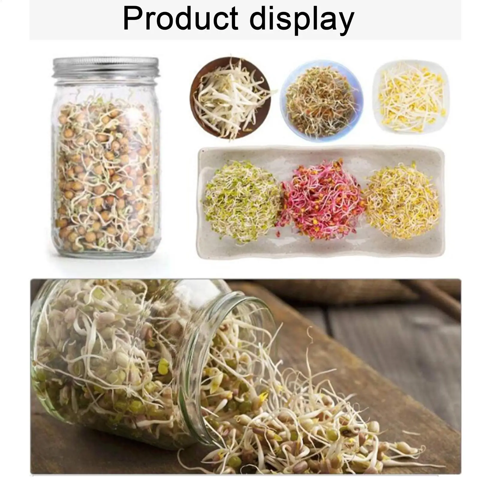 Sprouting Jar Stainless Steel Screen Lids With Blackout Sleeve And Stand Sprouting Jars With Screen Lids For Home Kitchen Living
Sprouting Jar Stainless Steel Screen Lids With Blackout Sleeve And Stand Sprouting Jars With Screen Lids For Home Kitchen Living