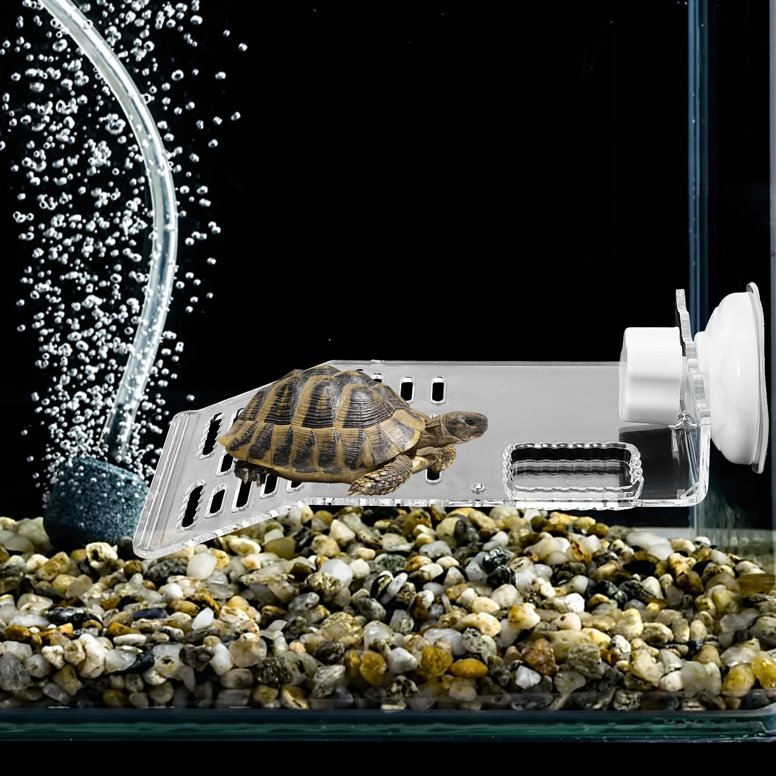 Plastic Aquarium Tank Decor Floating Island Reptile Tortoise Habitat Climbing Aquatic Pet Resting Household Basking Terrarium
Plastic Aquarium Tank Decor Floating Island Reptile Tortoise Habitat Climbing Aquatic Pet Resting Household Basking Terrarium