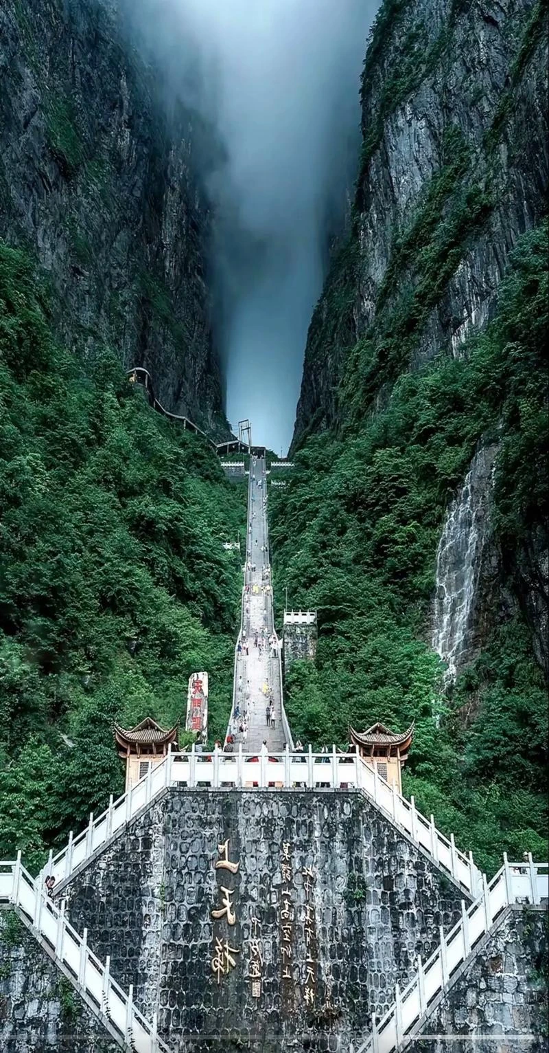 TPU For Mazda 3 BP 2019 2020 2021 2022 2023 2024 2025 Mazda3 Axela Car Headlight Protective Film Transparent Smoked Black
TPU For Mazda 3 BP 2019 2020 2021 2022 2023 2024 2025 Mazda3 Axela Car Headlight Protective Film Transparent Smoked Black