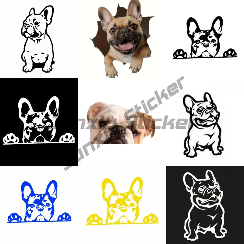 For Pug on Board Car Stickers Waterproof Vinyl Decal Motorcycle Sunscreen Car Accessories Campervan
For Pug on Board Car Stickers Waterproof Vinyl Decal Motorcycle Sunscreen Car Accessories Campervan