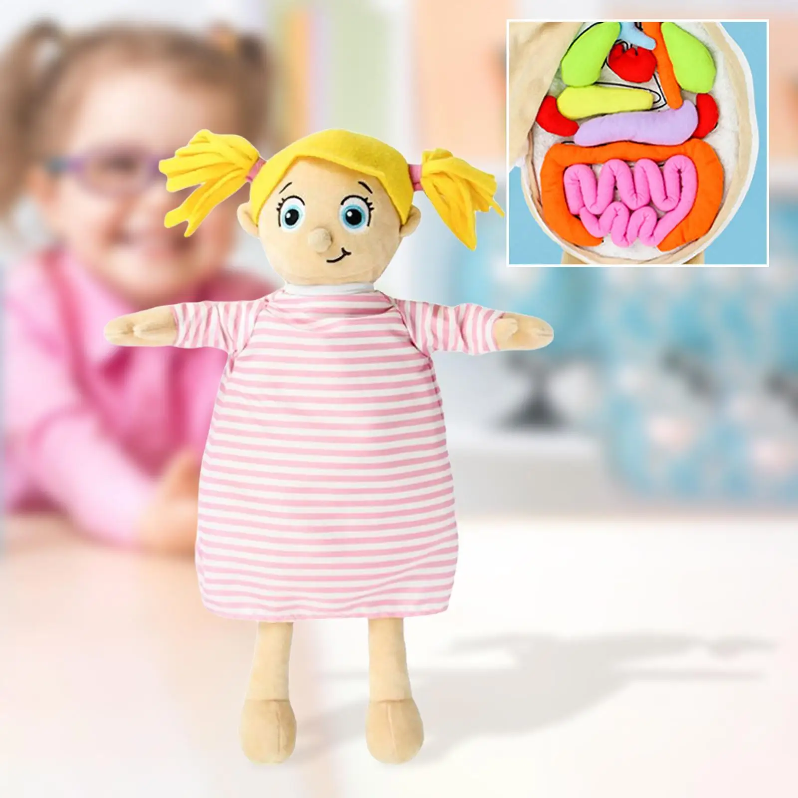 Анатомическая модель человеческого тела, съемные органы раннего образования для учебного пособия
Анатомическая модель человеческого тела, съемные органы раннего образования для учебного пособия