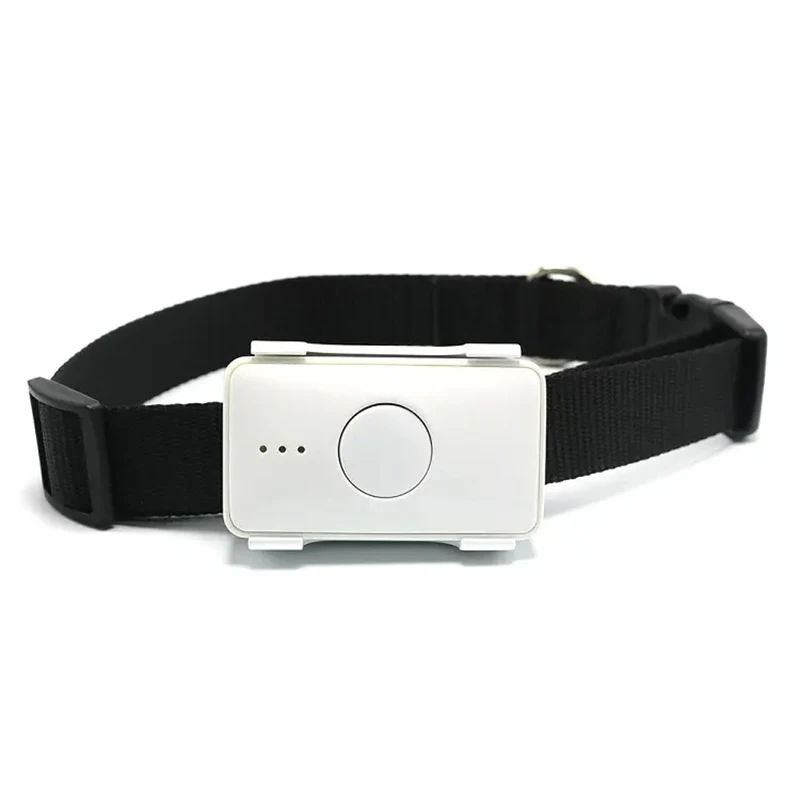 STLFSkylab Waterproof Pet Toys Gps Tracking Device Mini Pet Gps Tracker Collar Smart Gps Pet Tracker
STLFSkylab Waterproof Pet Toys Gps Tracking Device Mini Pet Gps Tracker Collar Smart Gps Pet Tracker