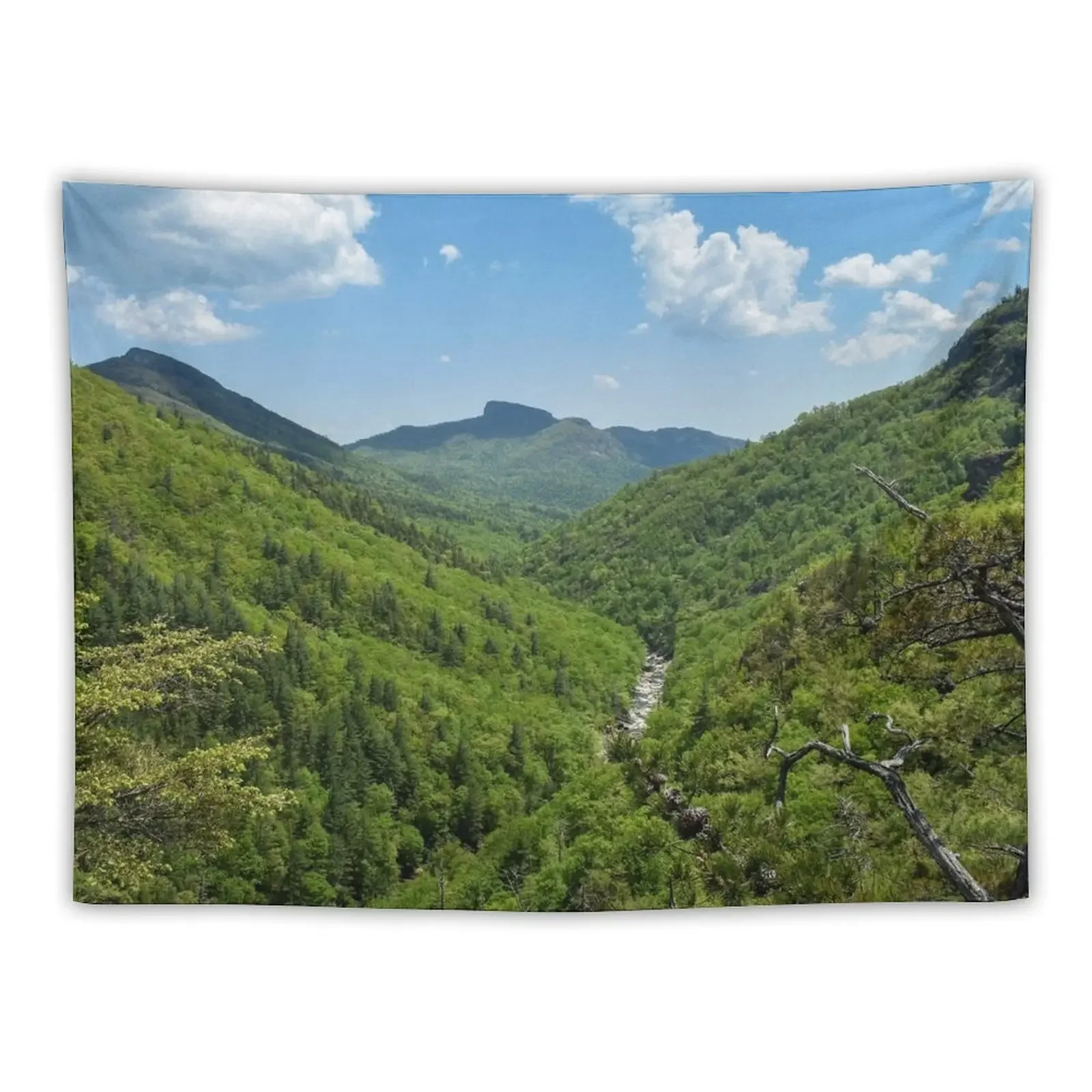 Appalachian Mountain Valley View Tapestry Japanese Room Decor Home Decorations Aesthetic Wall Hanging Wall Tapestry
Appalachian Mountain Valley View Tapestry Japanese Room Decor Home Decorations Aesthetic Wall Hanging Wall Tapestry