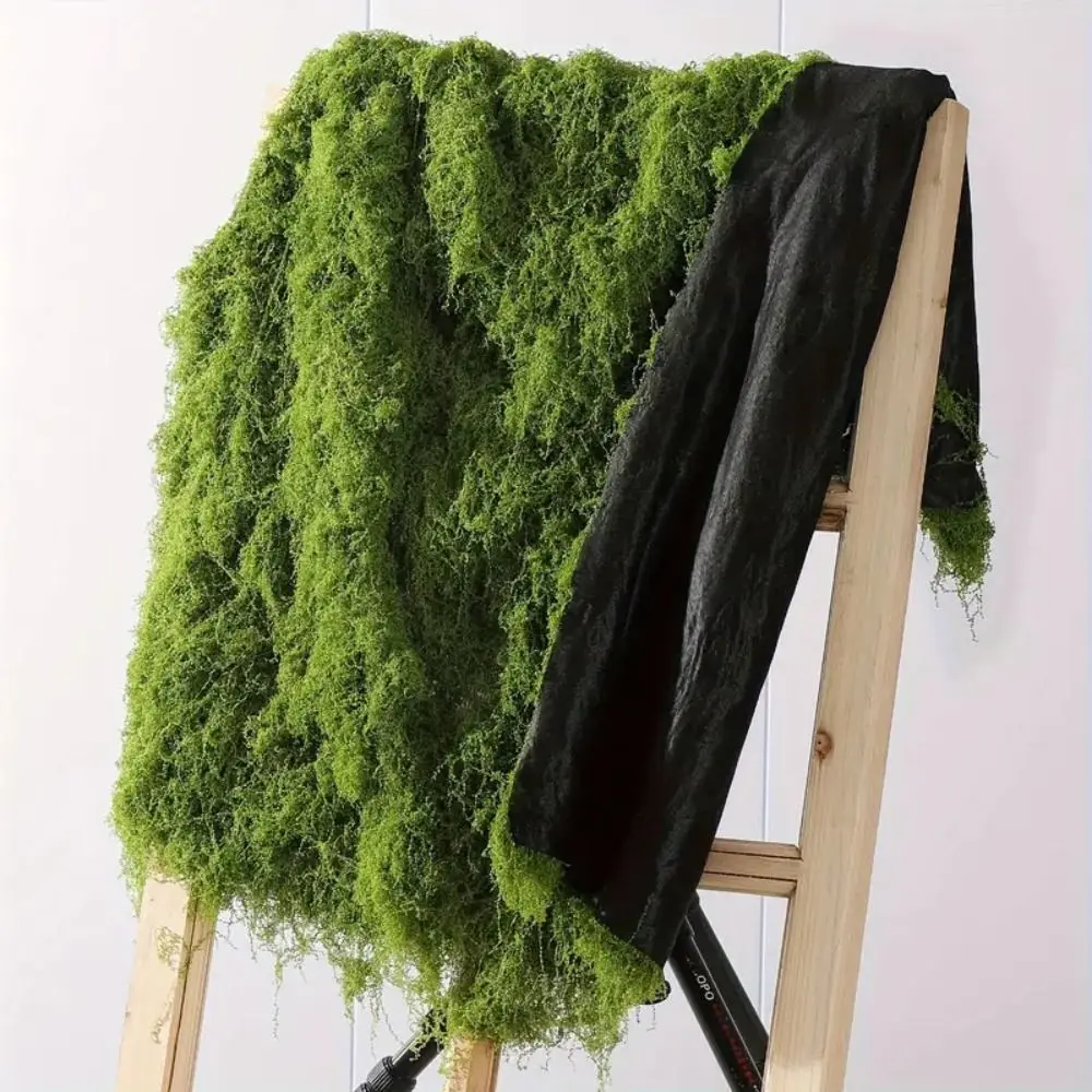 DIY Artificial Grass Rug Durable No Watering Artificial Moss Pad Year-round Green Realistic Simulation Moss Sheet
DIY Artificial Grass Rug Durable No Watering Artificial Moss Pad Year-round Green Realistic Simulation Moss Sheet