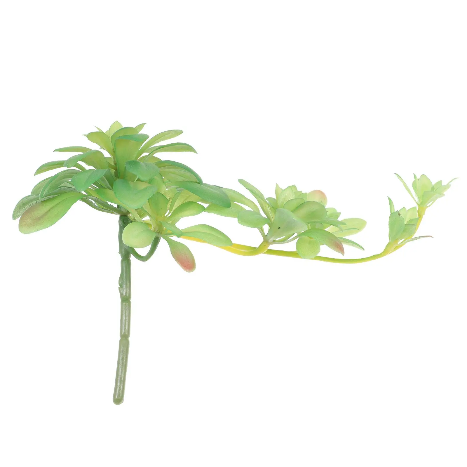 Faux Succulent Plants 27cm Artificial Plant Rattan Vine Home Office Decor Fake Plastic Flower Arrangement Room Desk Child
Faux Succulent Plants 27cm Artificial Plant Rattan Vine Home Office Decor Fake Plastic Flower Arrangement Room Desk Child