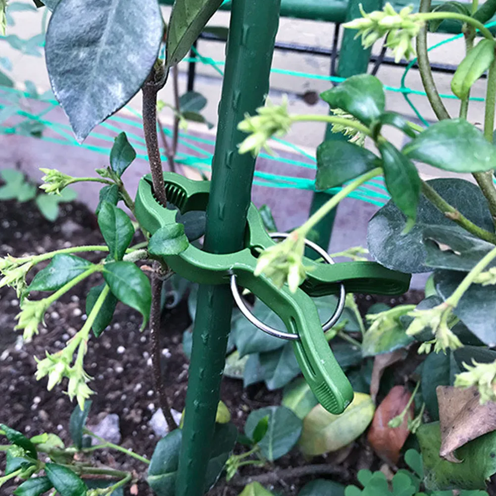 50Pcs Plant Support Clips for Climbing Plants Tomato Watermelon Grape Vines Garden Trellis Stakes Plastic Stem Fixing Clamp
50Pcs Plant Support Clips for Climbing Plants Tomato Watermelon Grape Vines Garden Trellis Stakes Plastic Stem Fixing Clamp
