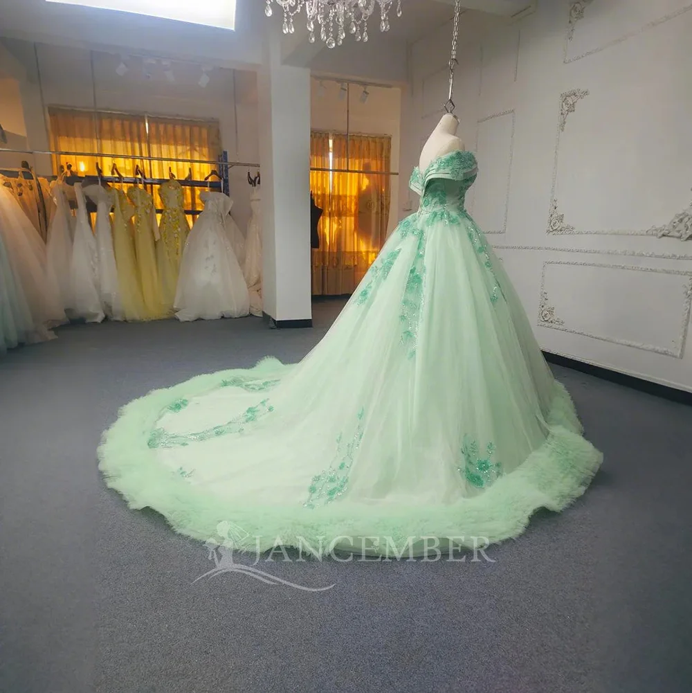 Customized Sage Green Quinceanera Dresses Ball Gown Floral Appliques Lace Back Corset For Sweet Girls Party Lsany16
Customized Sage Green Quinceanera Dresses Ball Gown Floral Appliques Lace Back Corset For Sweet Girls Party Lsany16