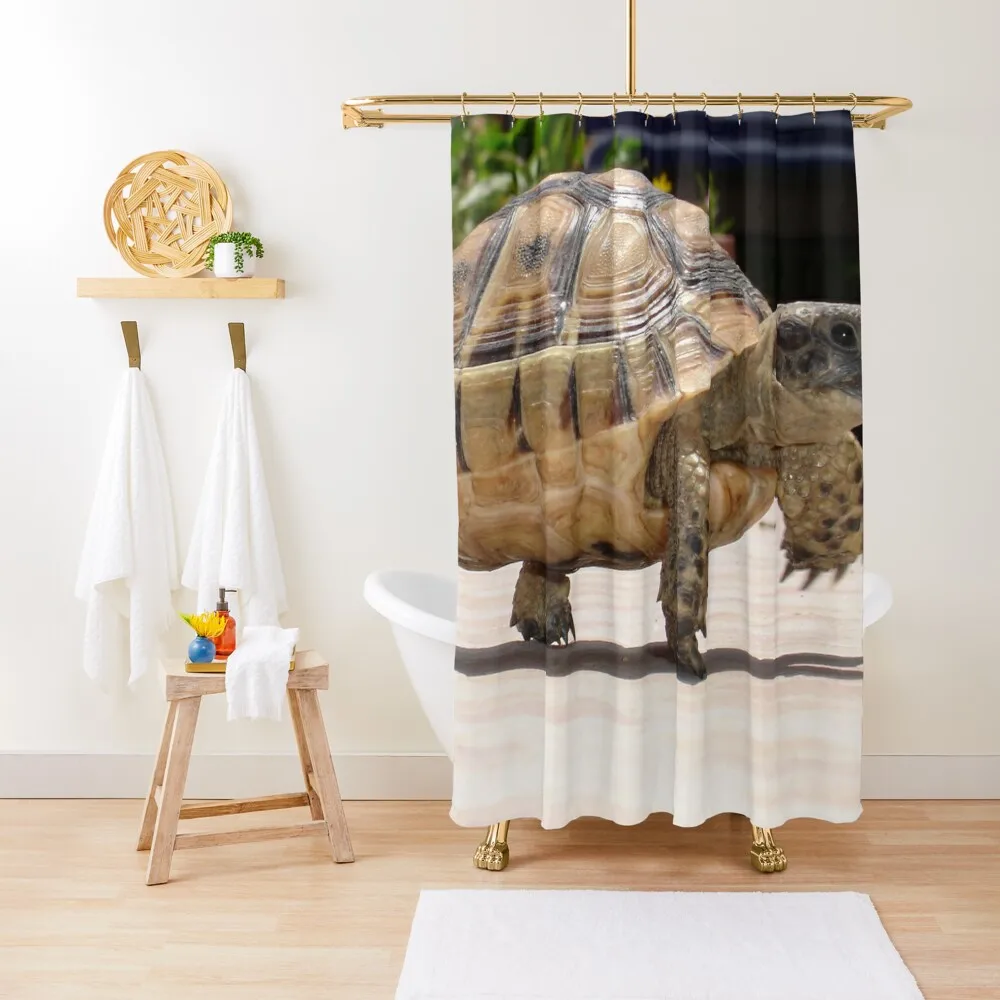 Marching Baby Tortoise Close Up Photo Shower Curtain Waterproof Bath And Anti-Mold Window Curtain
Marching Baby Tortoise Close Up Photo Shower Curtain Waterproof Bath And Anti-Mold Window Curtain