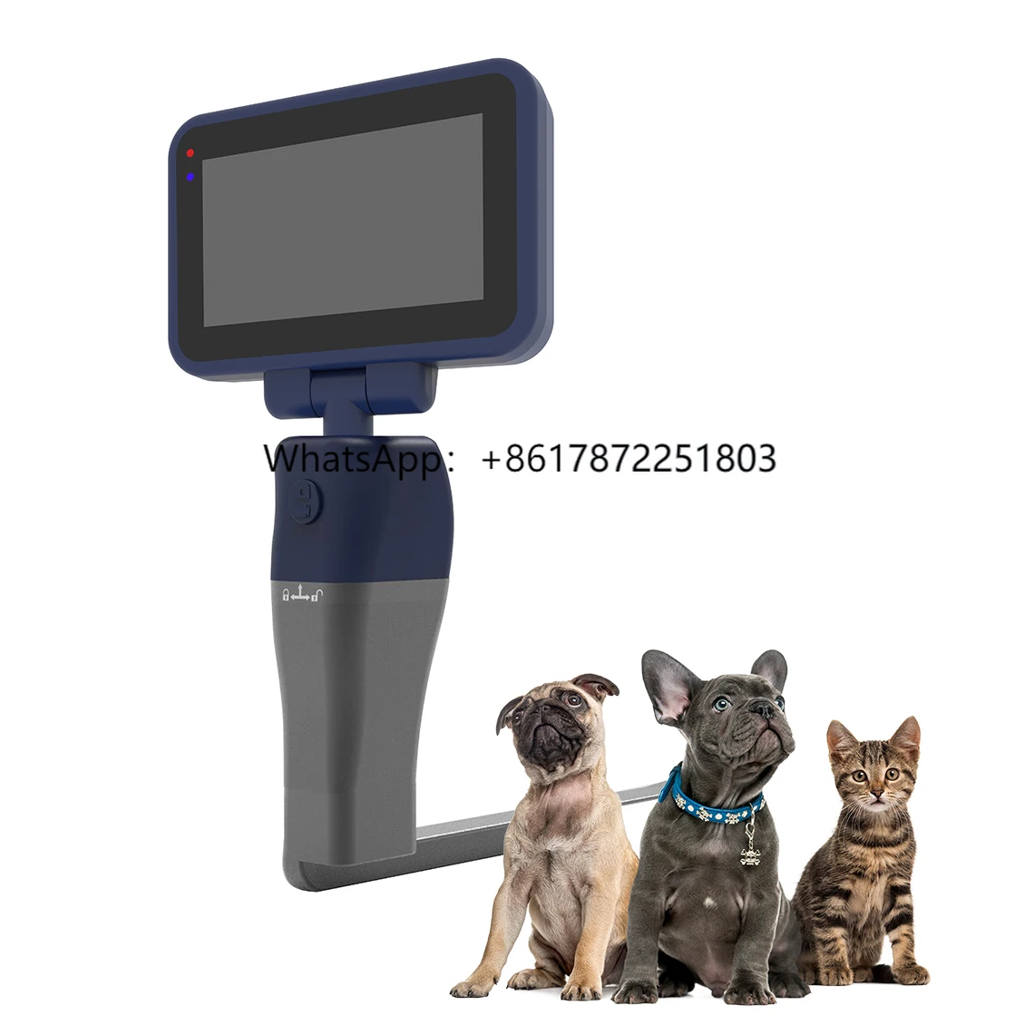 Excellent Quality Veterinary Portable Reusable Video Intubation Laryngoscope for Ent Operating Room
Excellent Quality Veterinary Portable Reusable Video Intubation Laryngoscope for Ent Operating Room