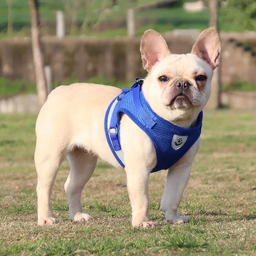 Pet Vest Dog Harness Cooling Blue Small Suspenders Service Vests Leash Adjustable Chest High Strength Buckle Breathable
Pet Vest Dog Harness Cooling Blue Small Suspenders Service Vests Leash Adjustable Chest High Strength Buckle Breathable
