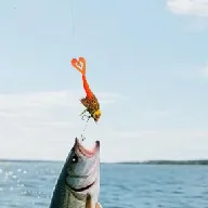 22 см окунь Swimbaits шарнирная мягкая приманка 3D дизайн волос в глазах искусственная приманка рыболовные снасти для пресноводной соленой воды сом лосося окуня
22 см окунь Swimbaits шарнирная мягкая приманка 3D дизайн волос в глазах искусственная приманка рыболовные снасти для пресноводной соленой воды сом лосося окуня