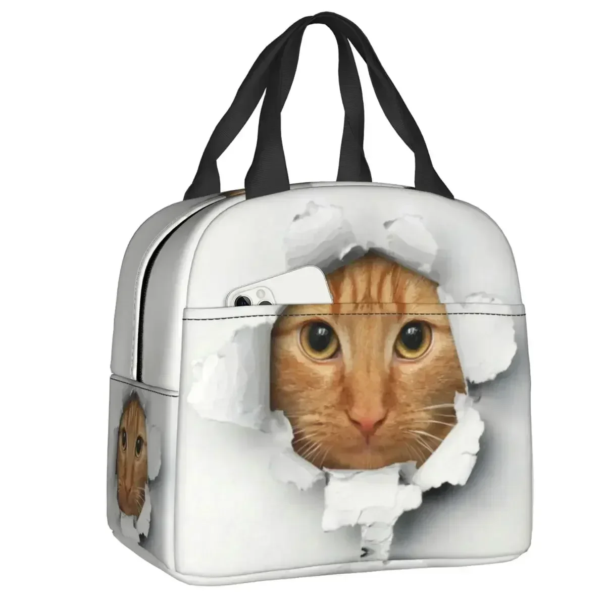 Забавный котенок, Tabby Cat, ланч-бокс, термохолодильник, изолированная сумка для обеда для женщин, школьная работа, пикник, многоразовые сумки-тоут
Забавный котенок, Tabby Cat, ланч-бокс, термохолодильник, изолированная сумка для обеда для женщин, школьная работа, пикник, многоразовые сумки-тоут