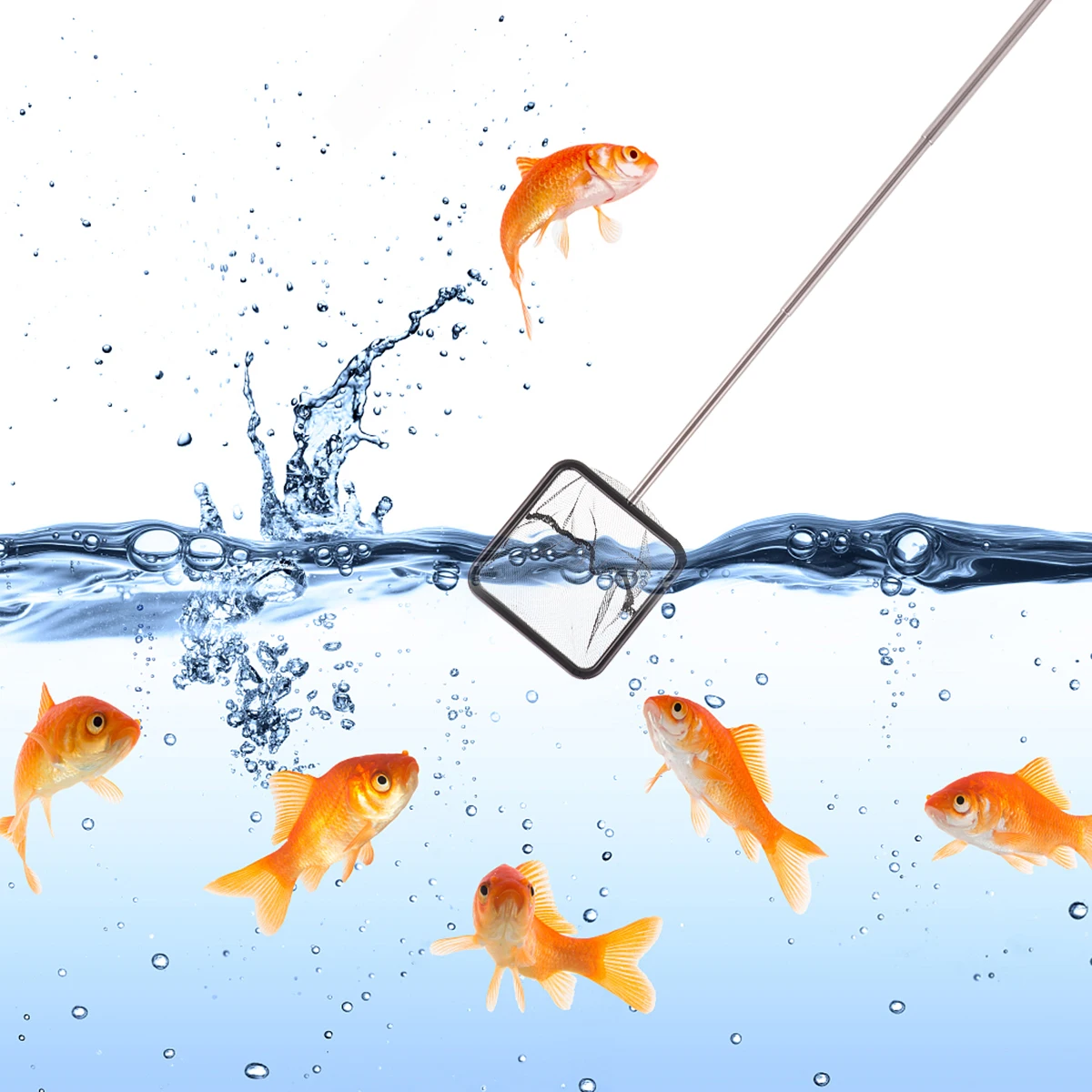 Stainless Steel Fish Net Foldable Extendable Aquarium Mesh Guppy Tank Cleaning Debris Remover Practical Handle
Stainless Steel Fish Net Foldable Extendable Aquarium Mesh Guppy Tank Cleaning Debris Remover Practical Handle