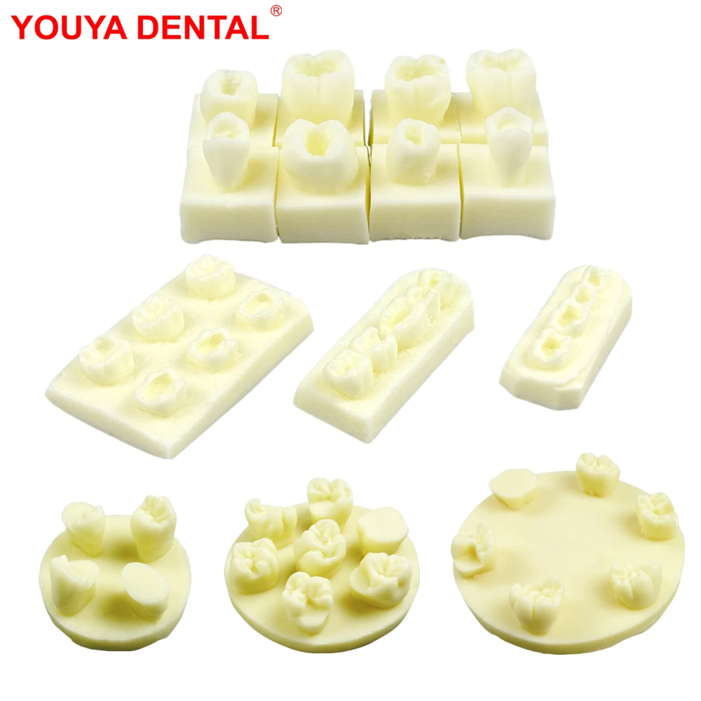 Dental Composite Resin Filling Practice Models Dentistry Training Tooth Exercise Model Block Teeth Teaching Studying Typodont
Dental Composite Resin Filling Practice Models Dentistry Training Tooth Exercise Model Block Teeth Teaching Studying Typodont