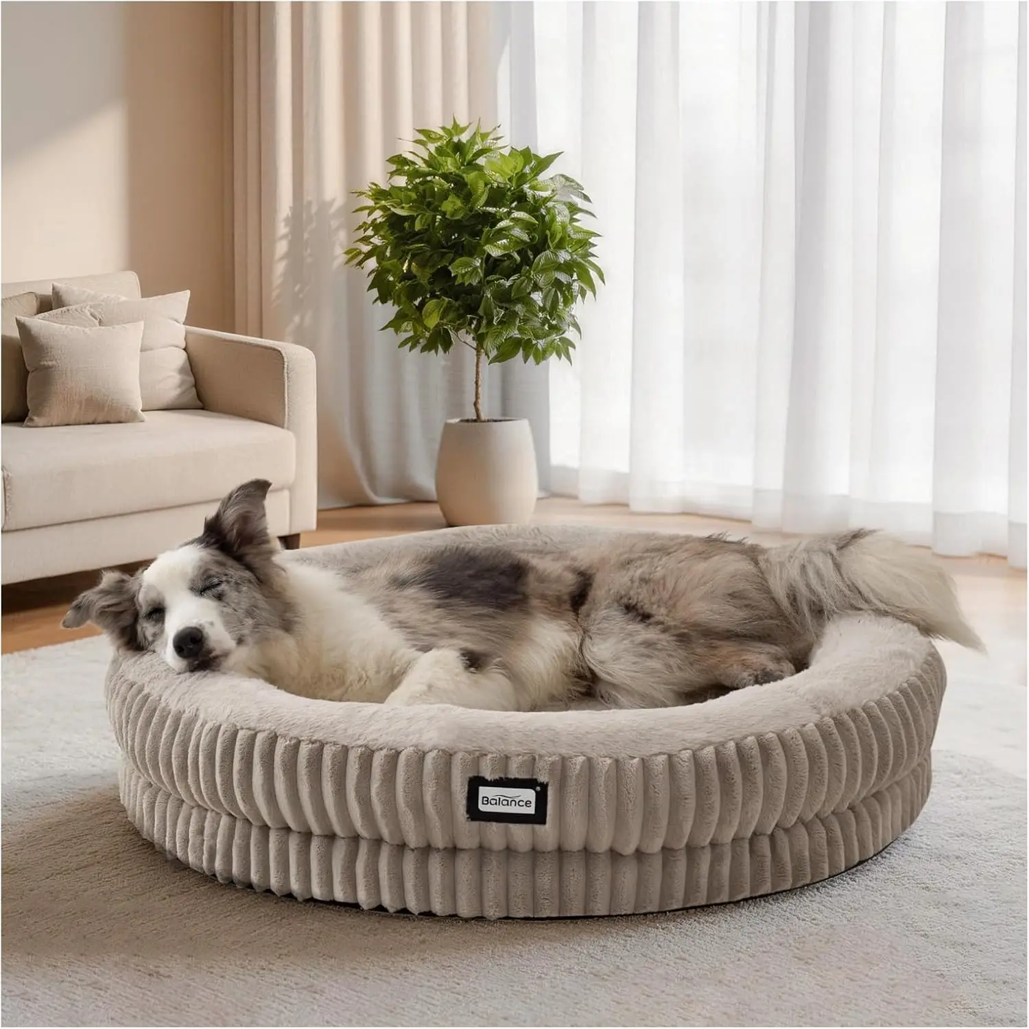 36" Round Donut Dog Bed, Orthopedic Calming Bed for Large Dogs, Washable Plush Faux Fur with Anti-Slip Bottom
36" Round Donut Dog Bed, Orthopedic Calming Bed for Large Dogs, Washable Plush Faux Fur with Anti-Slip Bottom