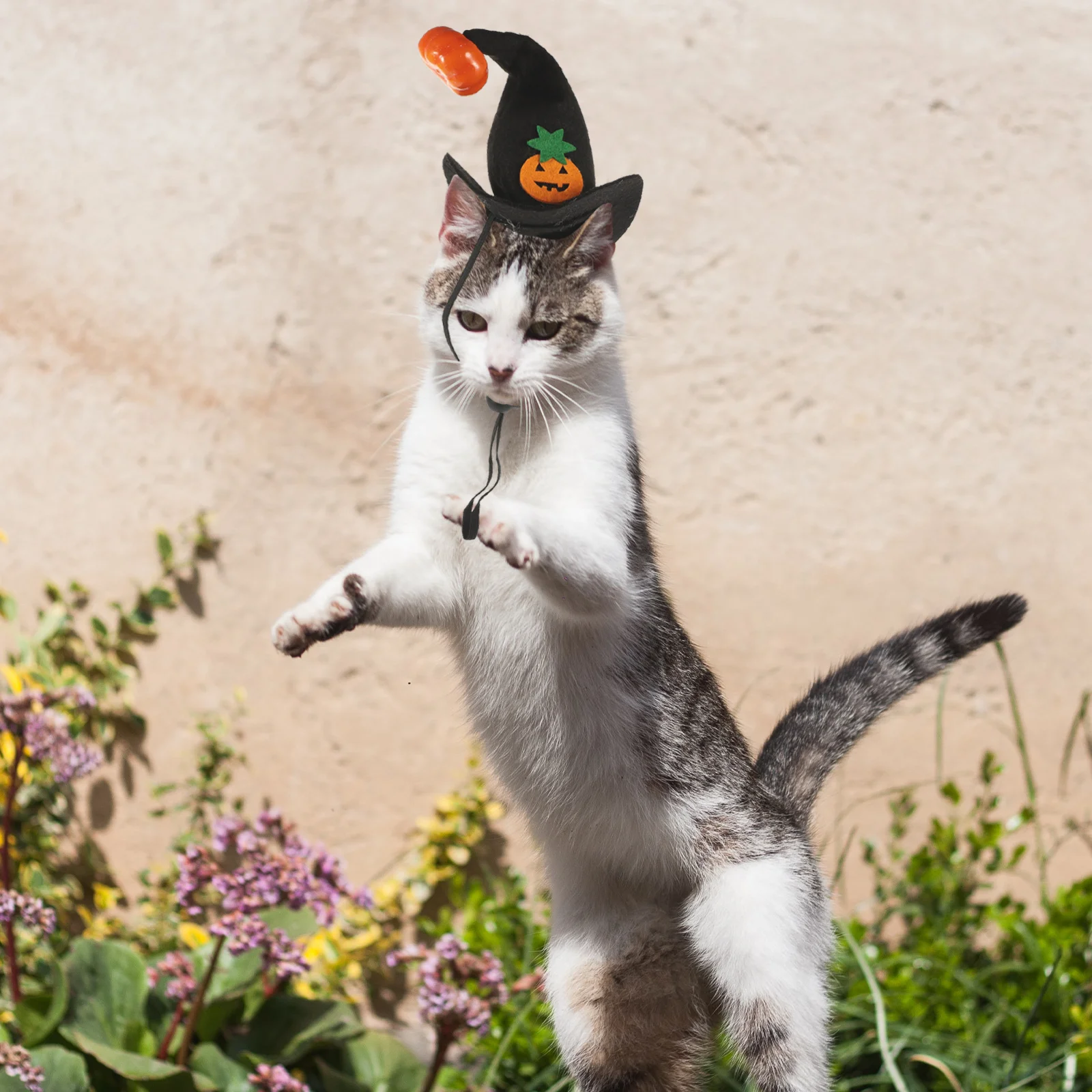Decorations Pumpkin Hat Hats for Dogs Cloth Cute Kitten Puppy Dress-up Accessories
Decorations Pumpkin Hat Hats for Dogs Cloth Cute Kitten Puppy Dress-up Accessories