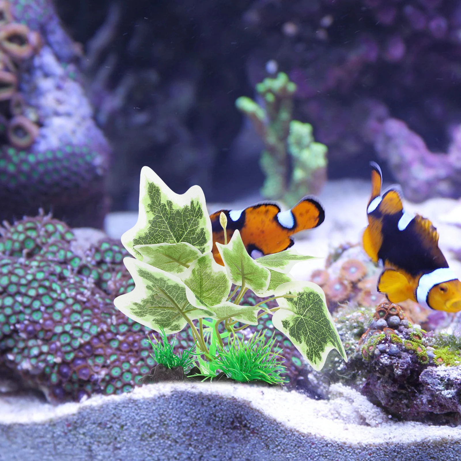 Fish Tank Simulated Aquatic Plants Aquarium Simulation Realistic Decor Abs Artificial
Fish Tank Simulated Aquatic Plants Aquarium Simulation Realistic Decor Abs Artificial