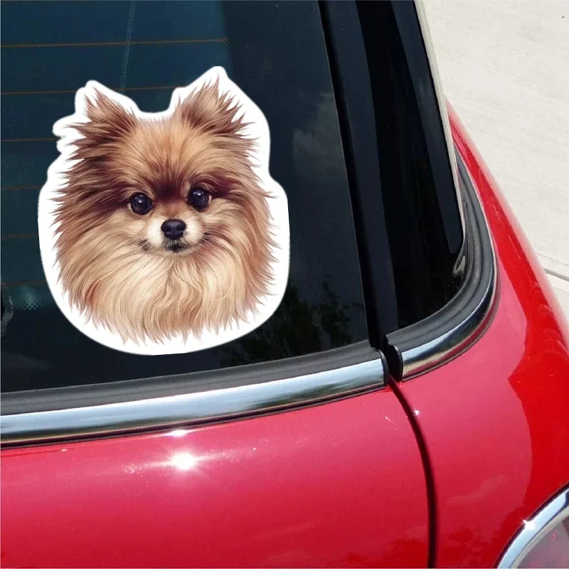 Exterior Accessories Decal German Spitz Car Sticker Waterproof on Bumper Rear Window Laptop Refrigerator,KK
Exterior Accessories Decal German Spitz Car Sticker Waterproof on Bumper Rear Window Laptop Refrigerator,KK