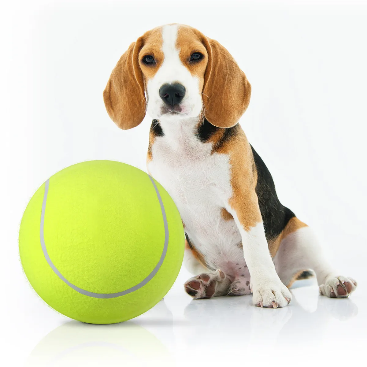 1Pcs 9.5 Inch Giant Tennis Ball Soft Elastic Nylon Material Perfect for Tennis Play Dogs Exercise Outdoor Games
1Pcs 9.5 Inch Giant Tennis Ball Soft Elastic Nylon Material Perfect for Tennis Play Dogs Exercise Outdoor Games