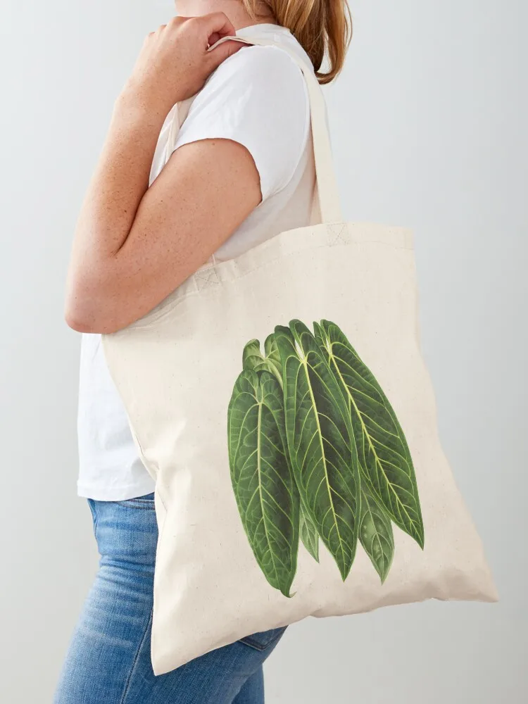 Anthurium warocqueanum - Queen Anthurium Tote Bag Shopping bags custom bags ecological bags university shopper bag
Anthurium warocqueanum - Queen Anthurium Tote Bag Shopping bags custom bags ecological bags university shopper bag