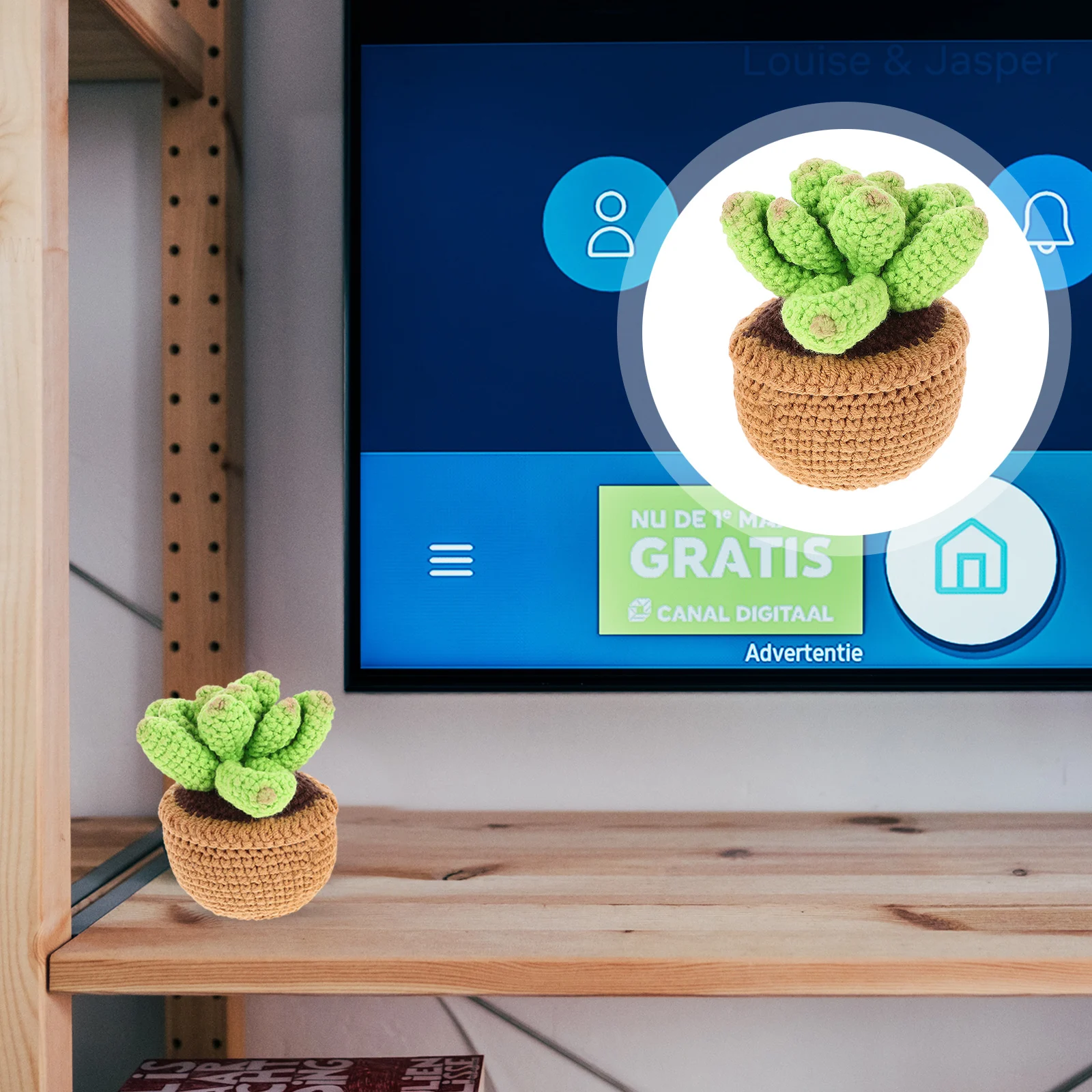 Eternal Succulent Ornaments Fake Crochet Bonsai Decor Handcrafted Plant Plants Indoor Adornment Desk Flowers Knitting Simulation
Eternal Succulent Ornaments Fake Crochet Bonsai Decor Handcrafted Plant Plants Indoor Adornment Desk Flowers Knitting Simulation