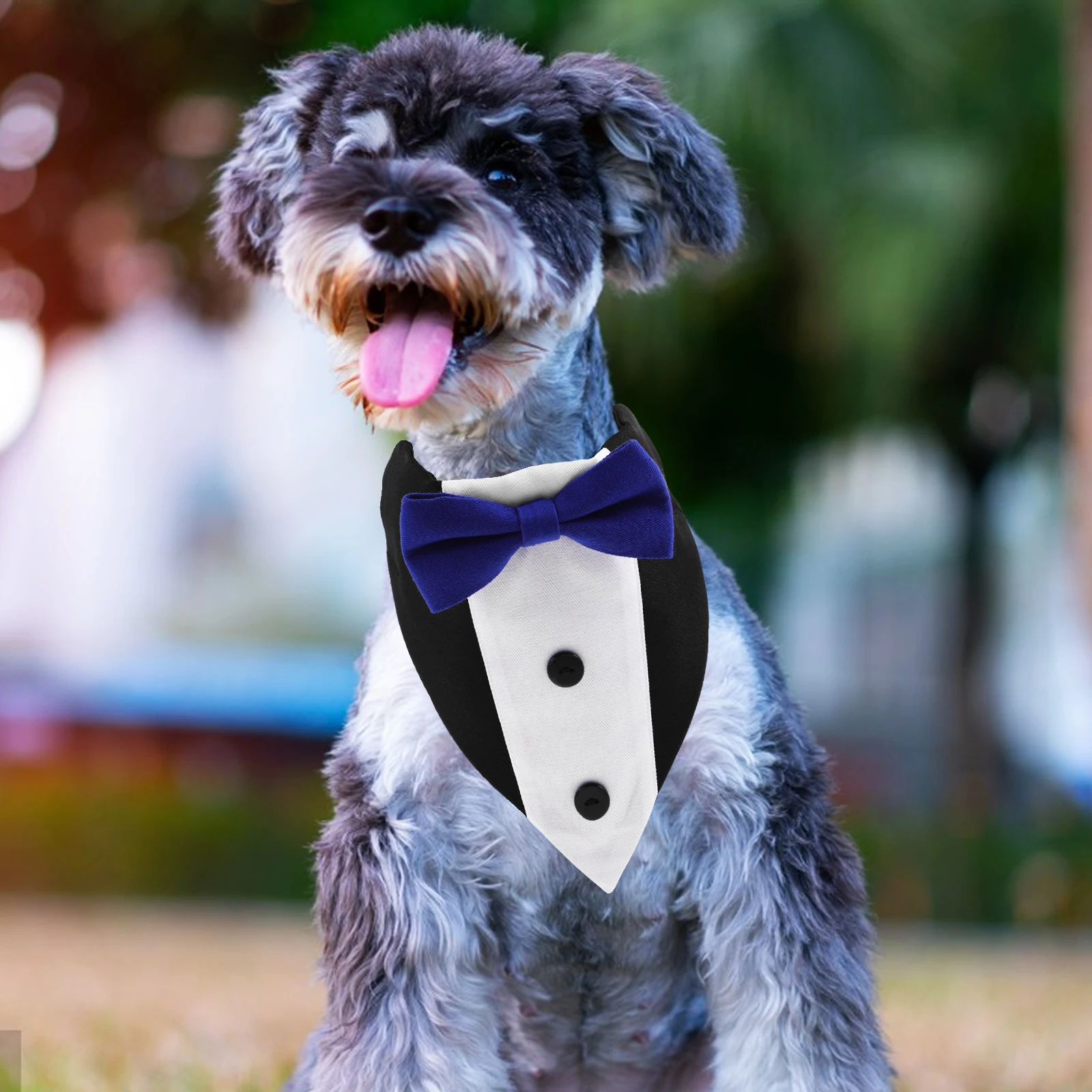 Stylish Triangle Dog Bandana Scarf Pet Neckwear Adjustable Bow Tie For Small Large Dogs Absorbent Durable Bib Daily Wear Party
Stylish Triangle Dog Bandana Scarf Pet Neckwear Adjustable Bow Tie For Small Large Dogs Absorbent Durable Bib Daily Wear Party