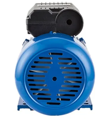 ML-SERIES SINGLE-PHASE DUAL CAPACITORS INDUCTION MOTOR ALUMINUM HOUSING WITH COPPER COIL
ML-SERIES SINGLE-PHASE DUAL CAPACITORS INDUCTION MOTOR ALUMINUM HOUSING WITH COPPER COIL
