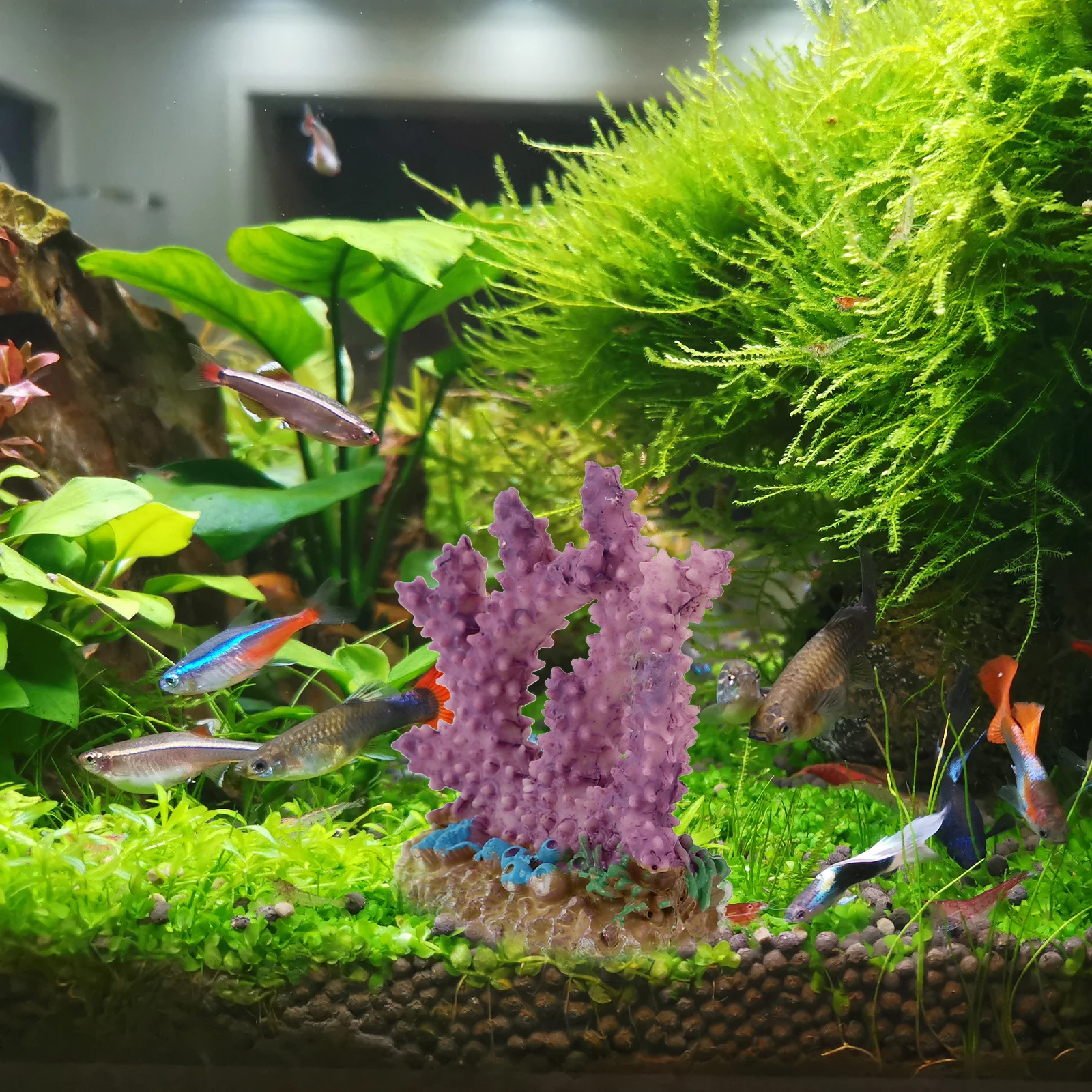 2PCS Coral L scaping Aquarium Plant Decor Artificial Plants Fish Tank L scape nament Home Decor Craft Pet Supplies Environmental
2PCS Coral L scaping Aquarium Plant Decor Artificial Plants Fish Tank L scape nament Home Decor Craft Pet Supplies Environmental