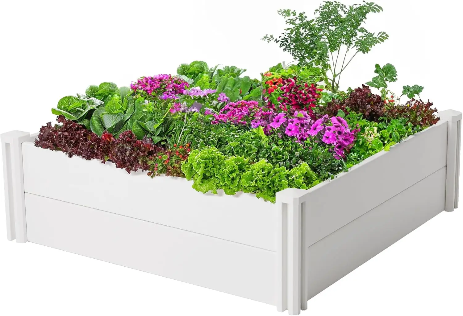 4x4x1ft Raised Garden Bed, Rust-Proof Vinyl Planter Box, Durable Outdoor DIY Above Ground Garden for Vegetables, Herbs
4x4x1ft Raised Garden Bed, Rust-Proof Vinyl Planter Box, Durable Outdoor DIY Above Ground Garden for Vegetables, Herbs