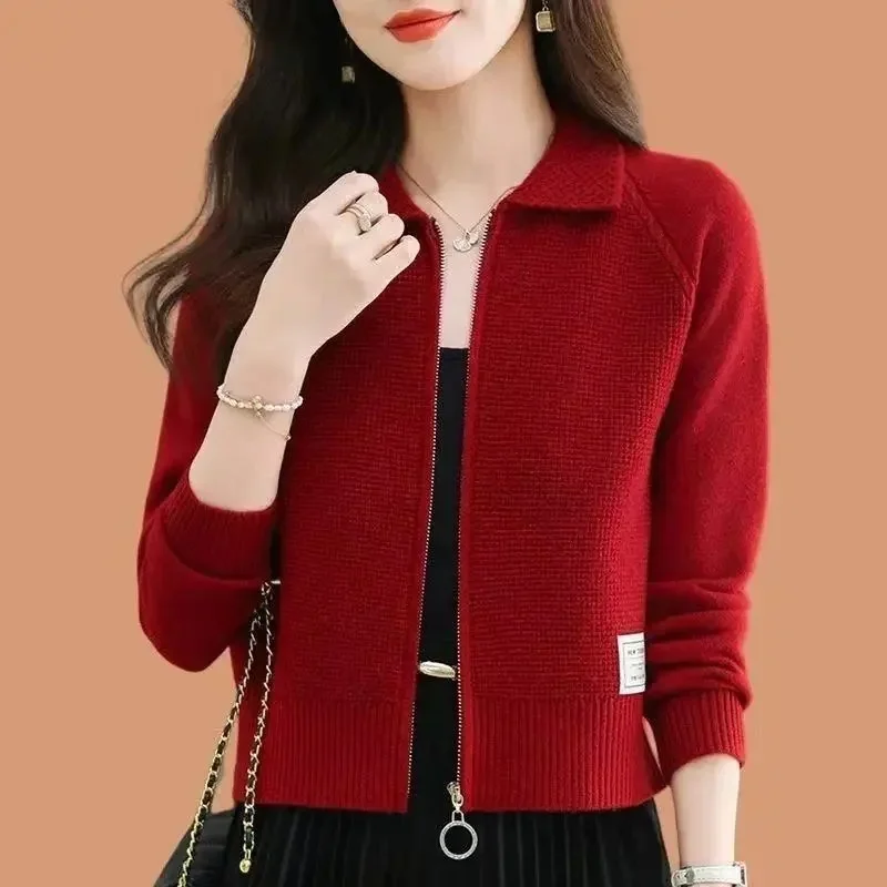 Small Fragrance Style Knitted Coat Spring Autumn Women's Cardigan Sweater Fashion Lapel Jacket Loose Short Zipper Outerwear Top
Small Fragrance Style Knitted Coat Spring Autumn Women's Cardigan Sweater Fashion Lapel Jacket Loose Short Zipper Outerwear Top