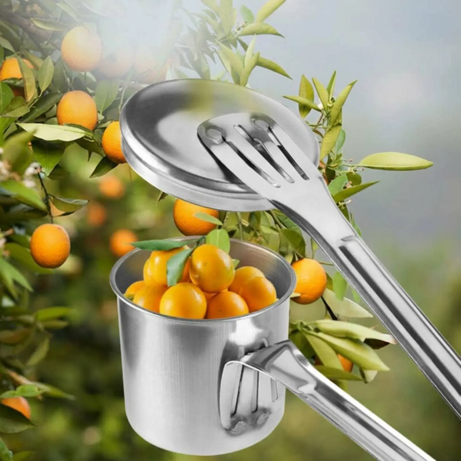 Cup Fruit Picker All-Metal Fruit-Picking Tool Garden Gear Easy to Use Lightweight
Cup Fruit Picker All-Metal Fruit-Picking Tool Garden Gear Easy to Use Lightweight
