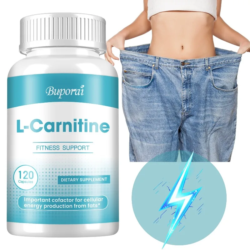 L-Carnitine - Improves Memory, Concentration, Cardiovascular Health, Cognitive Function
L-Carnitine - Improves Memory, Concentration, Cardiovascular Health, Cognitive Function