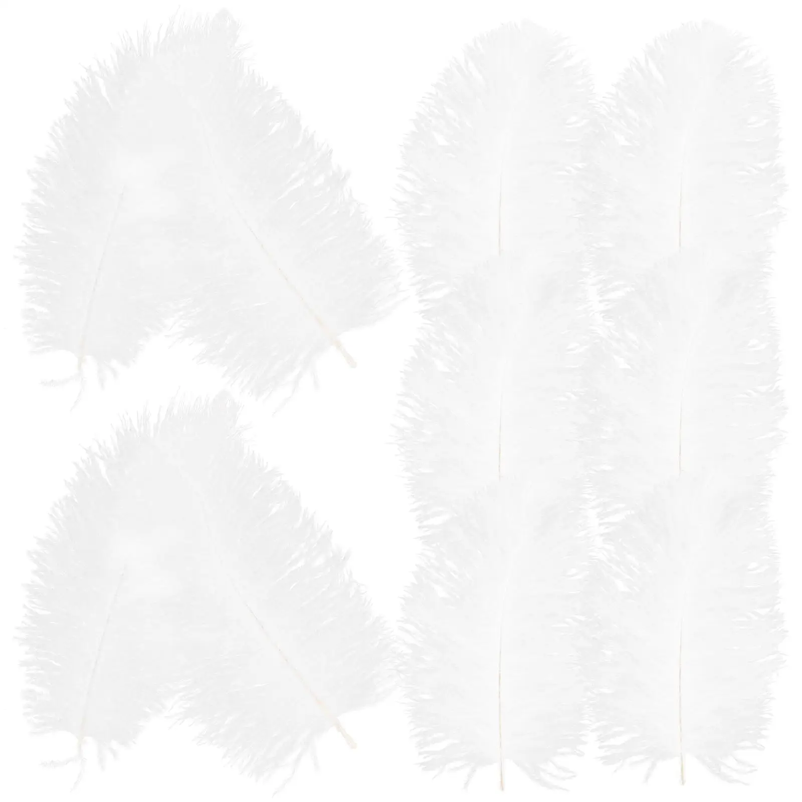 10 Pcs White Ostrich Wedding Decor Natural Plumes Crafts Party Decorations DIY Accessories Home Table
10 Pcs White Ostrich Wedding Decor Natural Plumes Crafts Party Decorations DIY Accessories Home Table