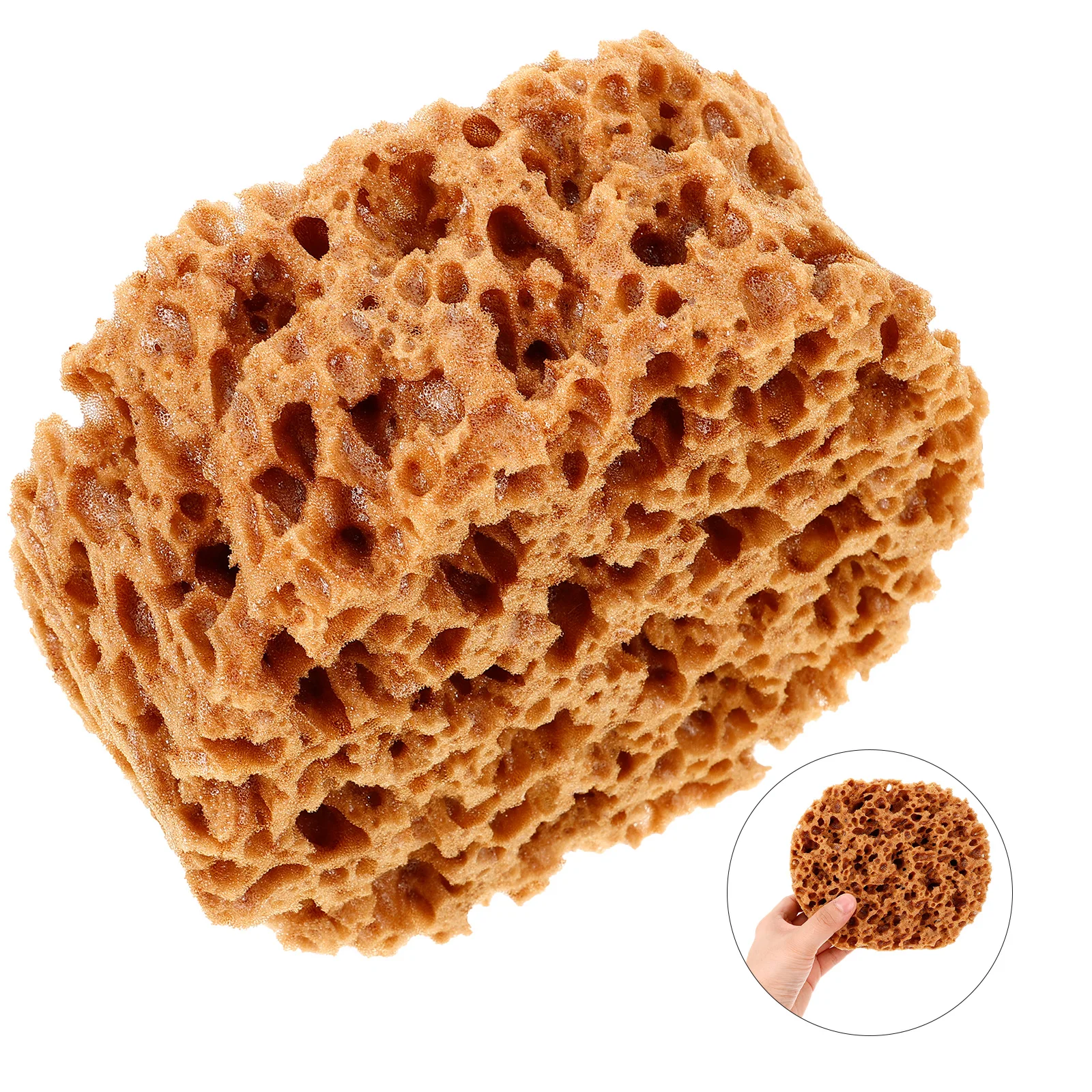 Seaweed Sponge Tool Natural Sponges for Painting Drywall Patch Supplies Paint Sponges Walls Furniture Crafts Decorative Sea
Seaweed Sponge Tool Natural Sponges for Painting Drywall Patch Supplies Paint Sponges Walls Furniture Crafts Decorative Sea