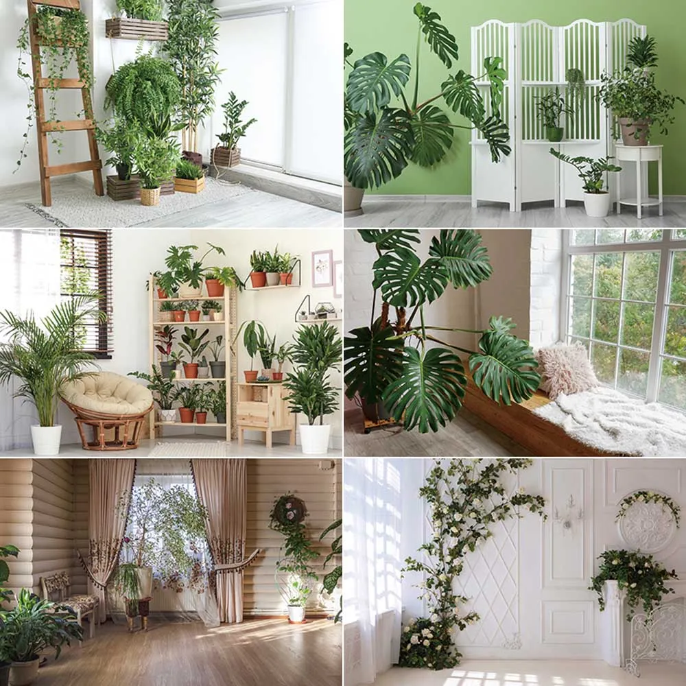 MOON.QG Tropical Indoor Photograph Wallpaper Background Boho Living Room Photographic Studio Backdrop Photo Wall Shooting Props
MOON.QG Tropical Indoor Photograph Wallpaper Background Boho Living Room Photographic Studio Backdrop Photo Wall Shooting Props
