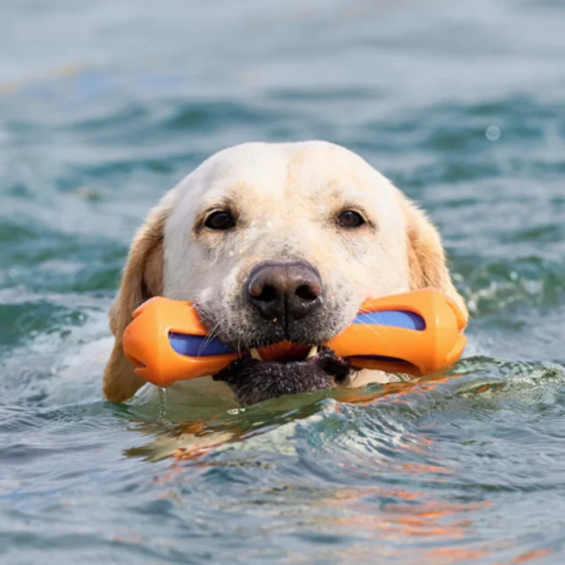 Floating TPR Dog Water-Lok Stick Bite Resistant Molar Chew Toy Swimming Pool Fetch Training Toy for Medium Large Dogs
Floating TPR Dog Water-Lok Stick Bite Resistant Molar Chew Toy Swimming Pool Fetch Training Toy for Medium Large Dogs