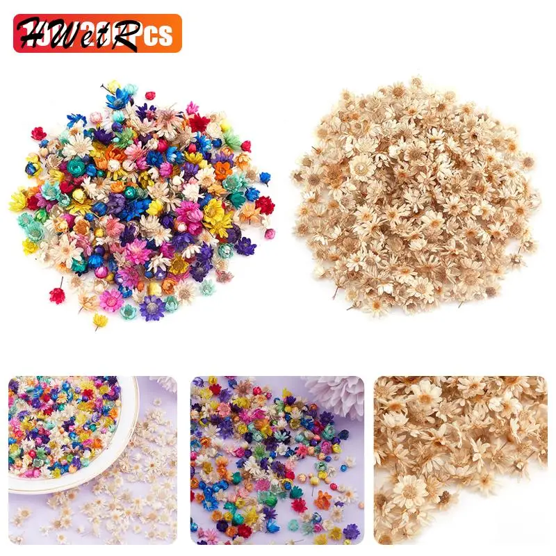 200pcs Dried Flowers Head Dry Daisy Plants For Epoxy Resin Pendant Necklace Jewelry Making Craft DIY Art Accessories
200pcs Dried Flowers Head Dry Daisy Plants For Epoxy Resin Pendant Necklace Jewelry Making Craft DIY Art Accessories