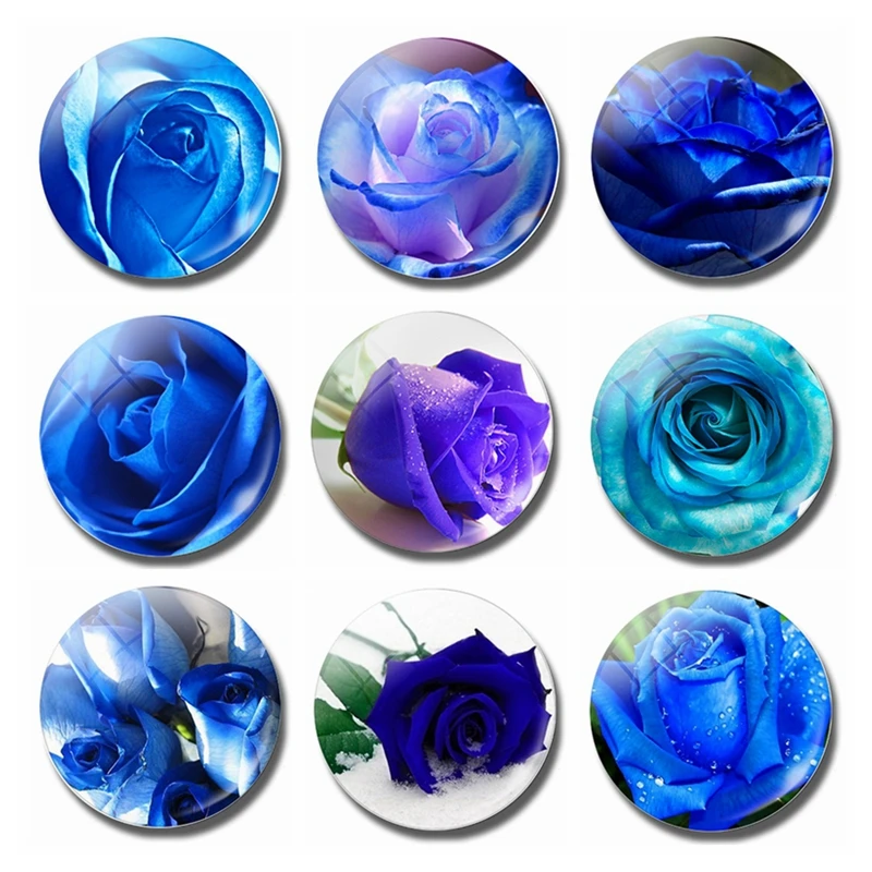Blue Rose Magnetic Stickers for Refrigerator Fridge Magnets Creative Glass Memo Home Decor 30MM
Blue Rose Magnetic Stickers for Refrigerator Fridge Magnets Creative Glass Memo Home Decor 30MM