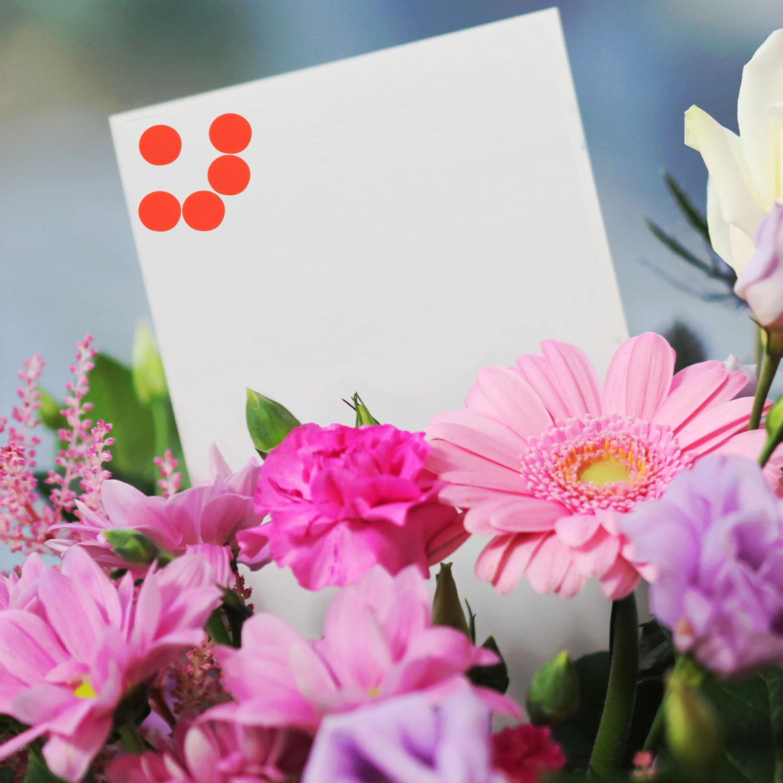 20 Sheets Colored Dot Stickers Round Bright Labels For Home School Office Organization Reusable Containers Classification Tabs
20 Sheets Colored Dot Stickers Round Bright Labels For Home School Office Organization Reusable Containers Classification Tabs