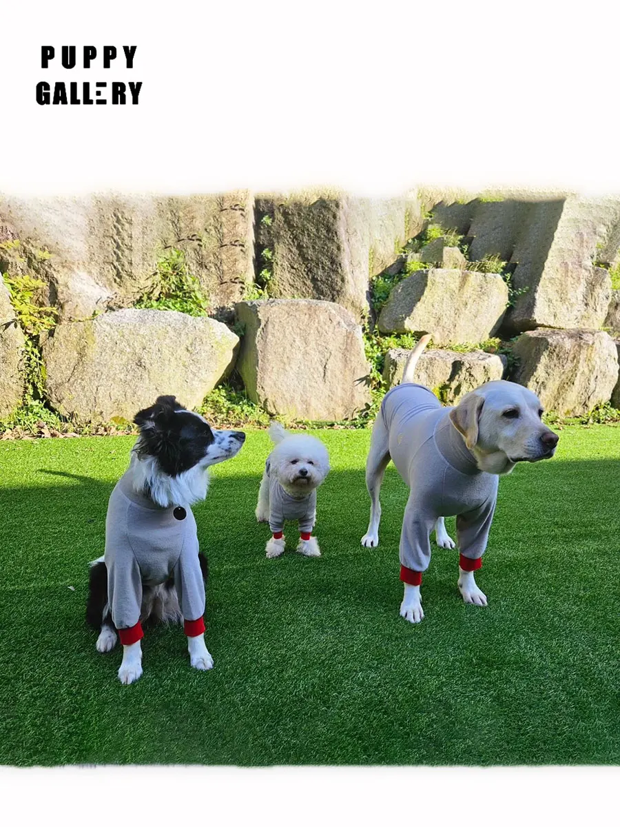 Теплая толстовка с капюшоном Neline для собак, галерея щенков, одежда для домашних животных, термотолстовка для маленьких, средних и больших собак, повседневная, всесезонное использование
Теплая толстовка с капюшоном Neline для собак, галерея щенков, одежда для домашних животных, термотолстовка для маленьких, средних и больших собак, повседневная, всесезонное использование