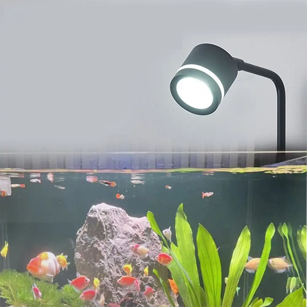 Tricolor Stepless Dimming LED Aquarium Light Clip-On Rotatable Aquatic Plant Light Aluminum Alloy Waterproof Fish Tank Light
Tricolor Stepless Dimming LED Aquarium Light Clip-On Rotatable Aquatic Plant Light Aluminum Alloy Waterproof Fish Tank Light