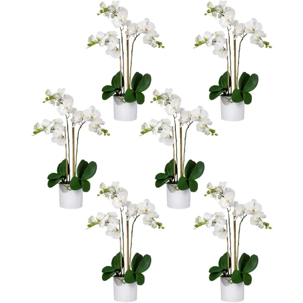 White Realistic Phalaenopsis Orchids in Pot, Potted Flowers - Beautiful Entryway Vase, Foyer Table Décor, Measures 26" Tall
White Realistic Phalaenopsis Orchids in Pot, Potted Flowers - Beautiful Entryway Vase, Foyer Table Décor, Measures 26" Tall
