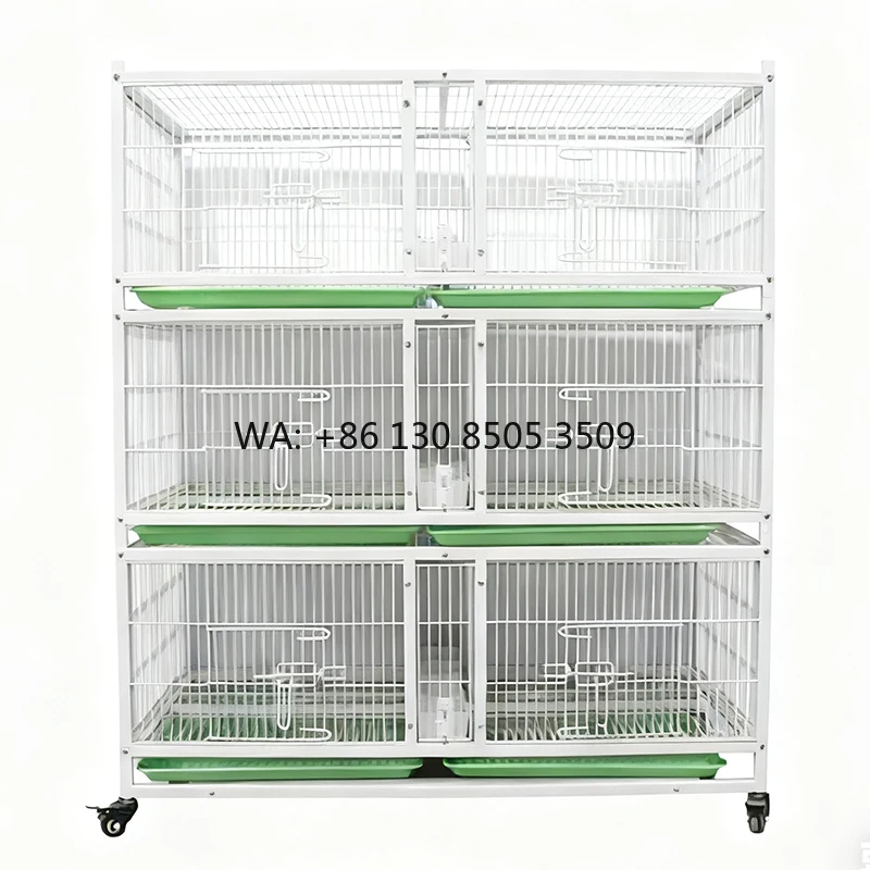 Premium Classic Multi-Layer Galvanized Pipe Iron Wire Racing Pigeon Breeding Cage Stainless Steel Frame Custom Design Plastic
Premium Classic Multi-Layer Galvanized Pipe Iron Wire Racing Pigeon Breeding Cage Stainless Steel Frame Custom Design Plastic