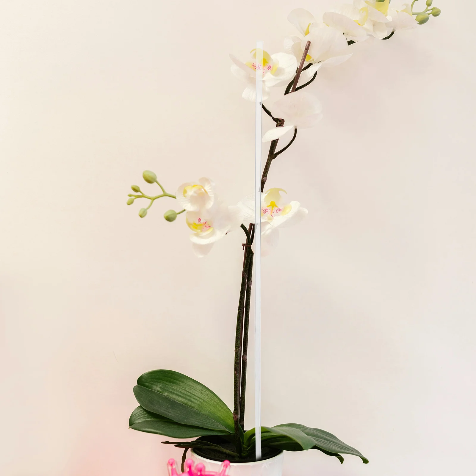20Pcs Clear Acrylic Plant Climbing Stakes 40Cm Height Flower Stem Support for Orchids Indoor Outdoor Potted Plants Garden
20Pcs Clear Acrylic Plant Climbing Stakes 40Cm Height Flower Stem Support for Orchids Indoor Outdoor Potted Plants Garden