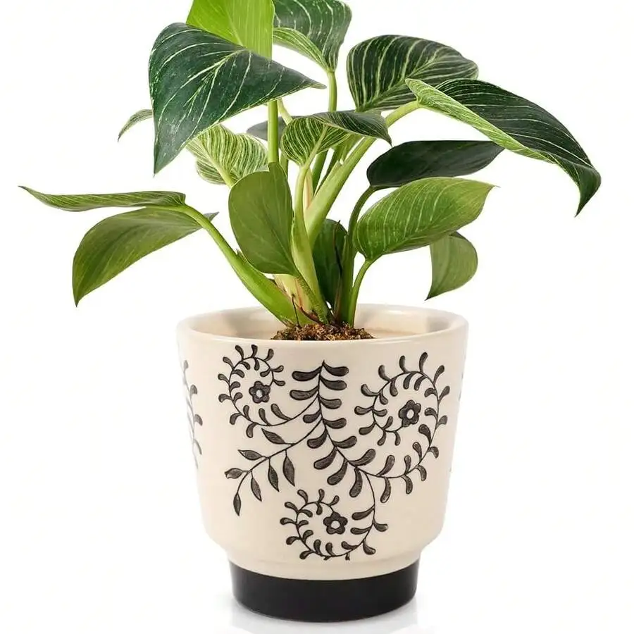 5 Inch Ceramic Planters For Indoor Plants, Funny Small Plant Pots With Drainage, Unique Decorative Cute Flower Po
5 Inch Ceramic Planters For Indoor Plants, Funny Small Plant Pots With Drainage, Unique Decorative Cute Flower Po
